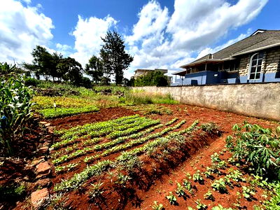 Runda Gardens 0.5acres - Image 7