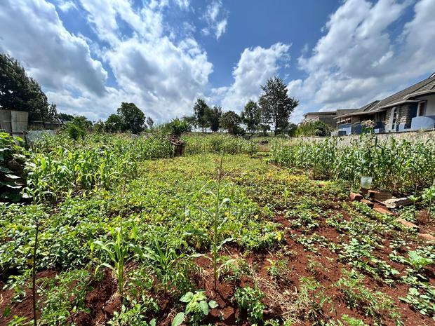 Runda Gardens 0.5acres