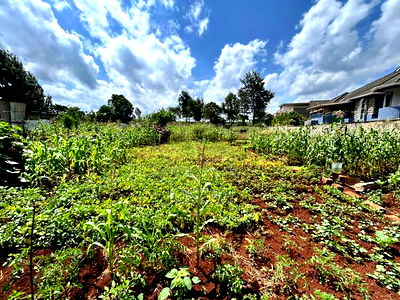 Runda Gardens 0.5acres - Image 8