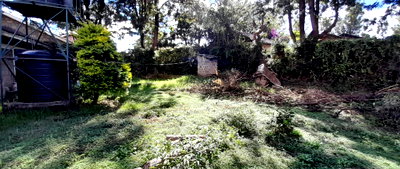 50x100 Garden Plot at KSh 8M