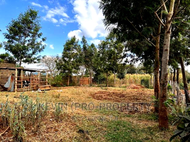 Prime Residential Plot For Sale In A Controlled Gated Estate