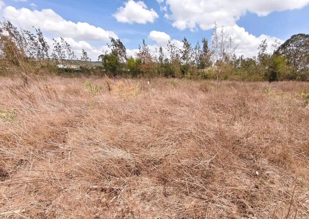 KSh 3M Garden Plot with Parking