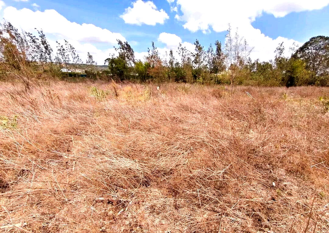 KSh 3M Garden Plot with Parking