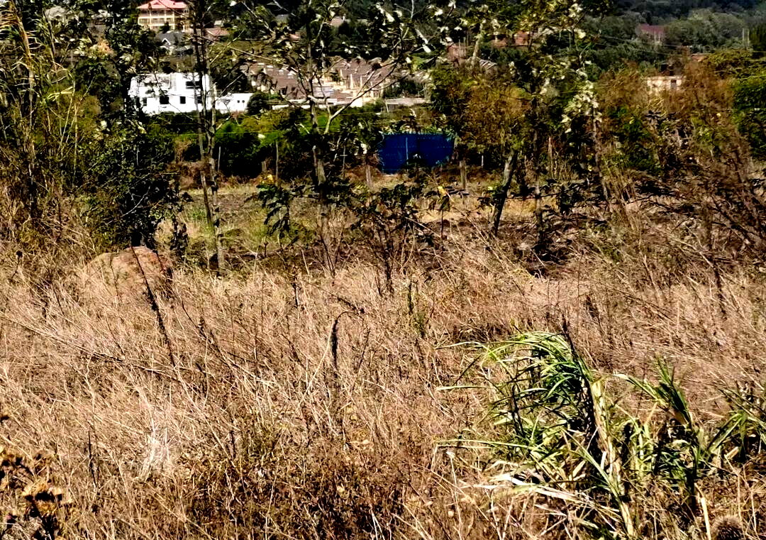 KSh 3M Garden Plot with Parking