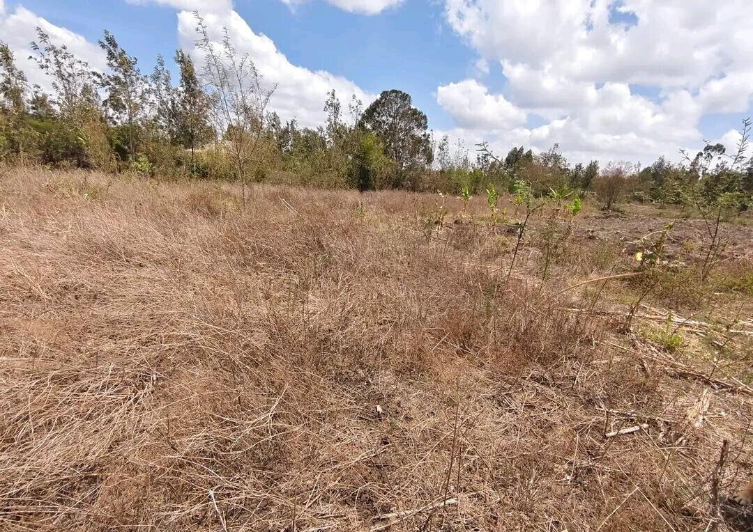 KSh 3M Garden Plot with Parking