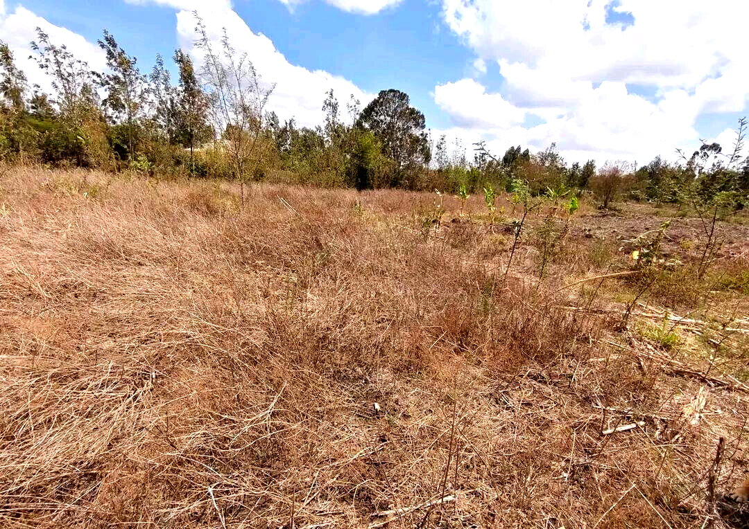 KSh 3M Garden Plot with Parking