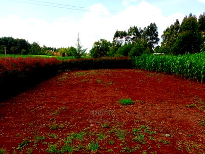 2bdrm Bungalow in Kipkenyo for Sale - Image 4