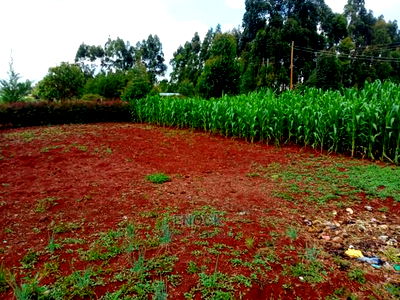 2bdrm Bungalow in Kipkenyo for Sale - Image 5