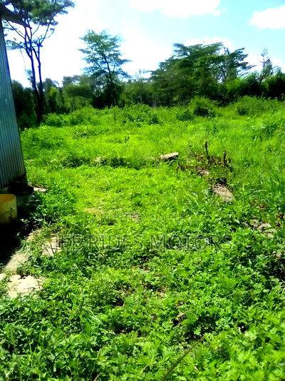 0.25 Acre for Sale 100 by 100 in Ruai - Image 4