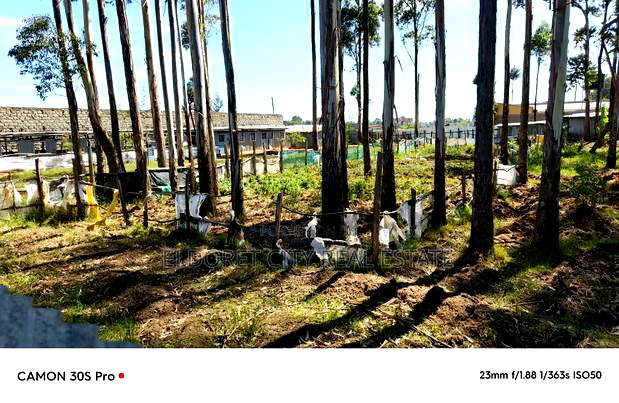 1/2 Acre Kimumu With Title Ideal for Commercial Purpose