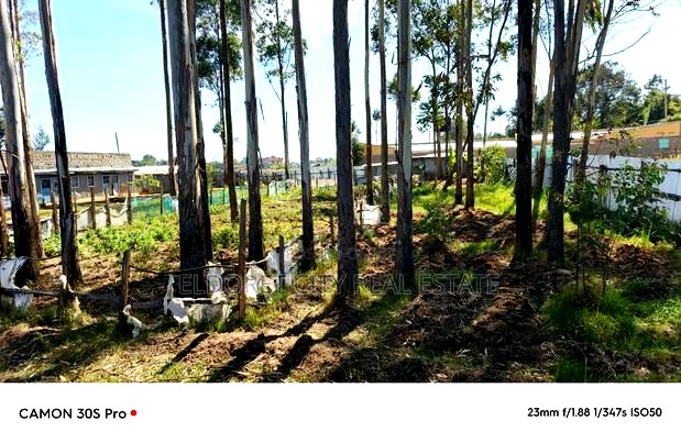 1/2 Acre Kimumu With Title Ideal for Commercial Purpose