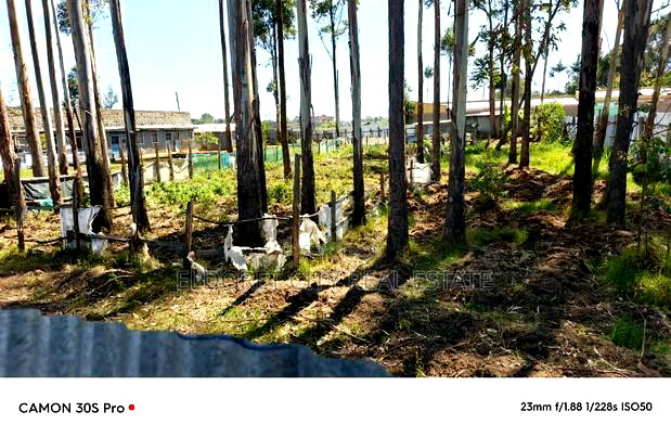 1/2 Acre Kimumu With Title Ideal for Commercial Purpose