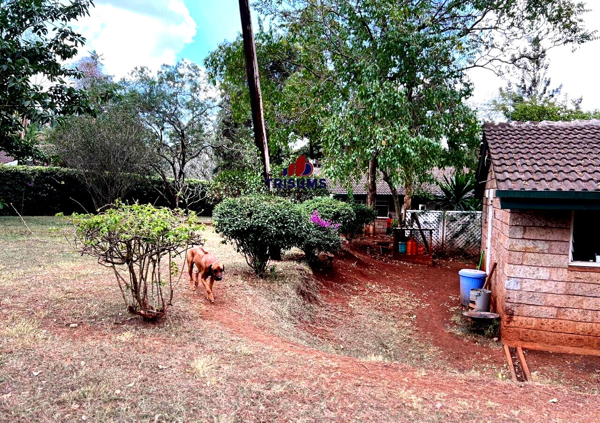 1.2-Acre Runda Gem at KSh 120M
