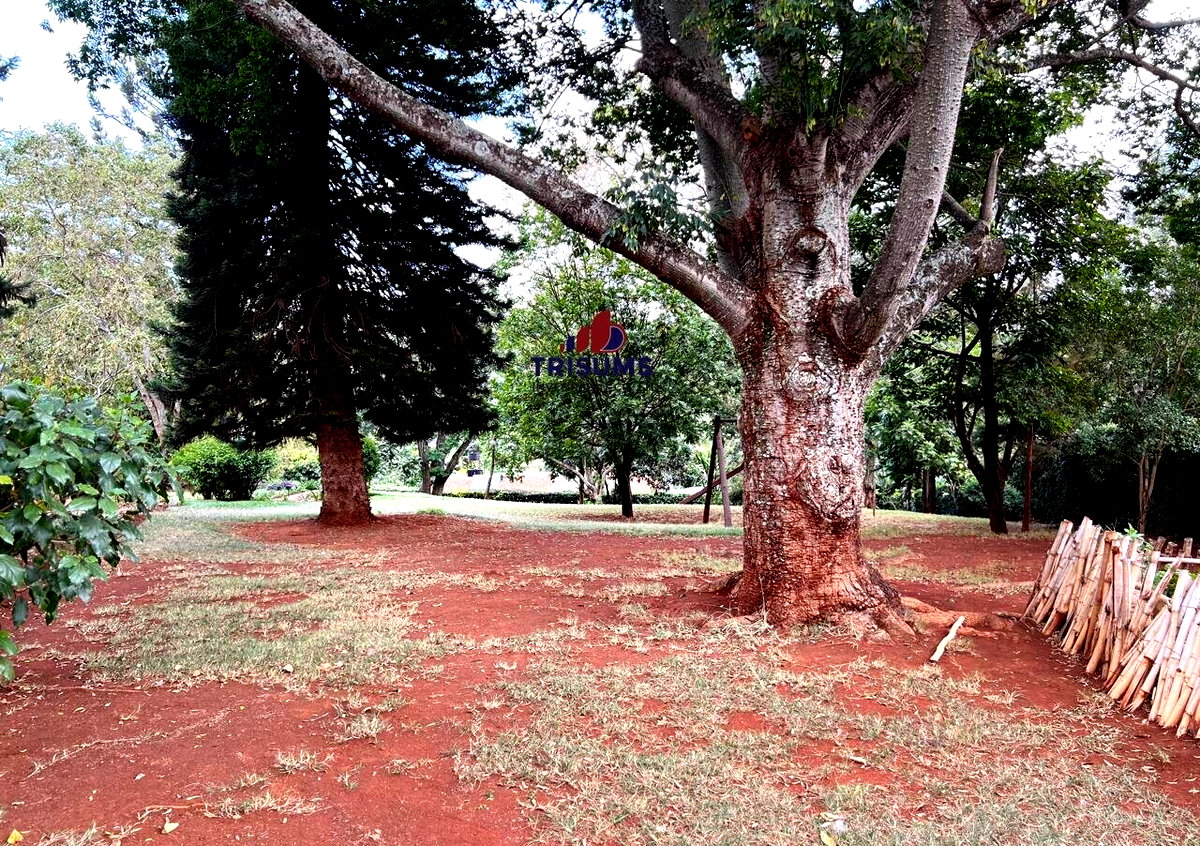1.2-Acre Runda Gem at KSh 120M