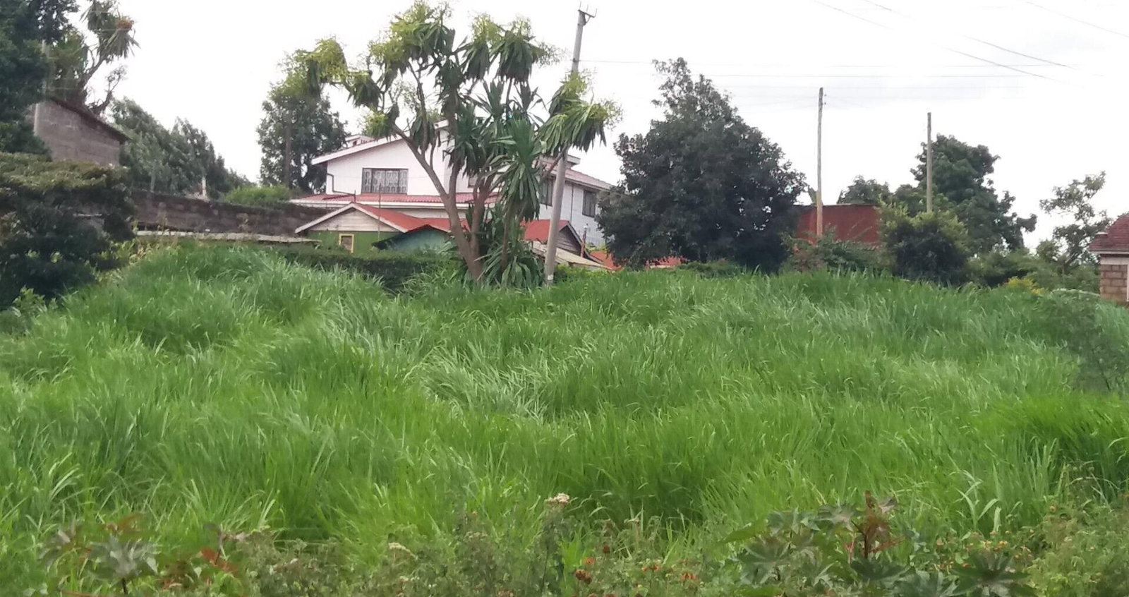 1/8 Acre Garden Plot with Parking