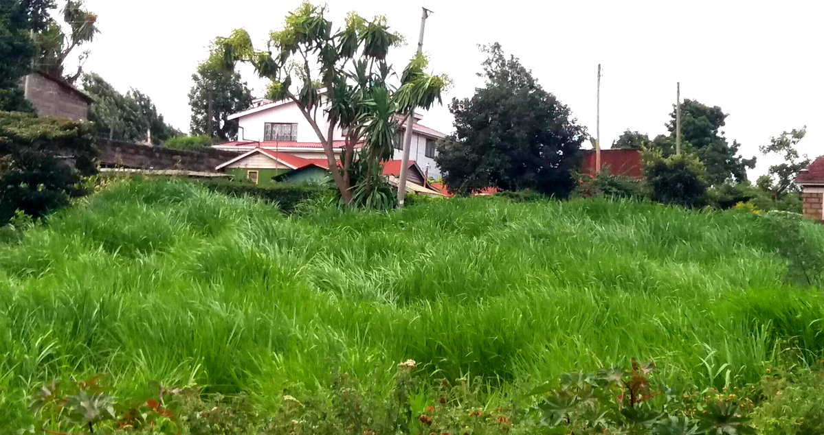 1/8 Acre Garden Plot with Parking