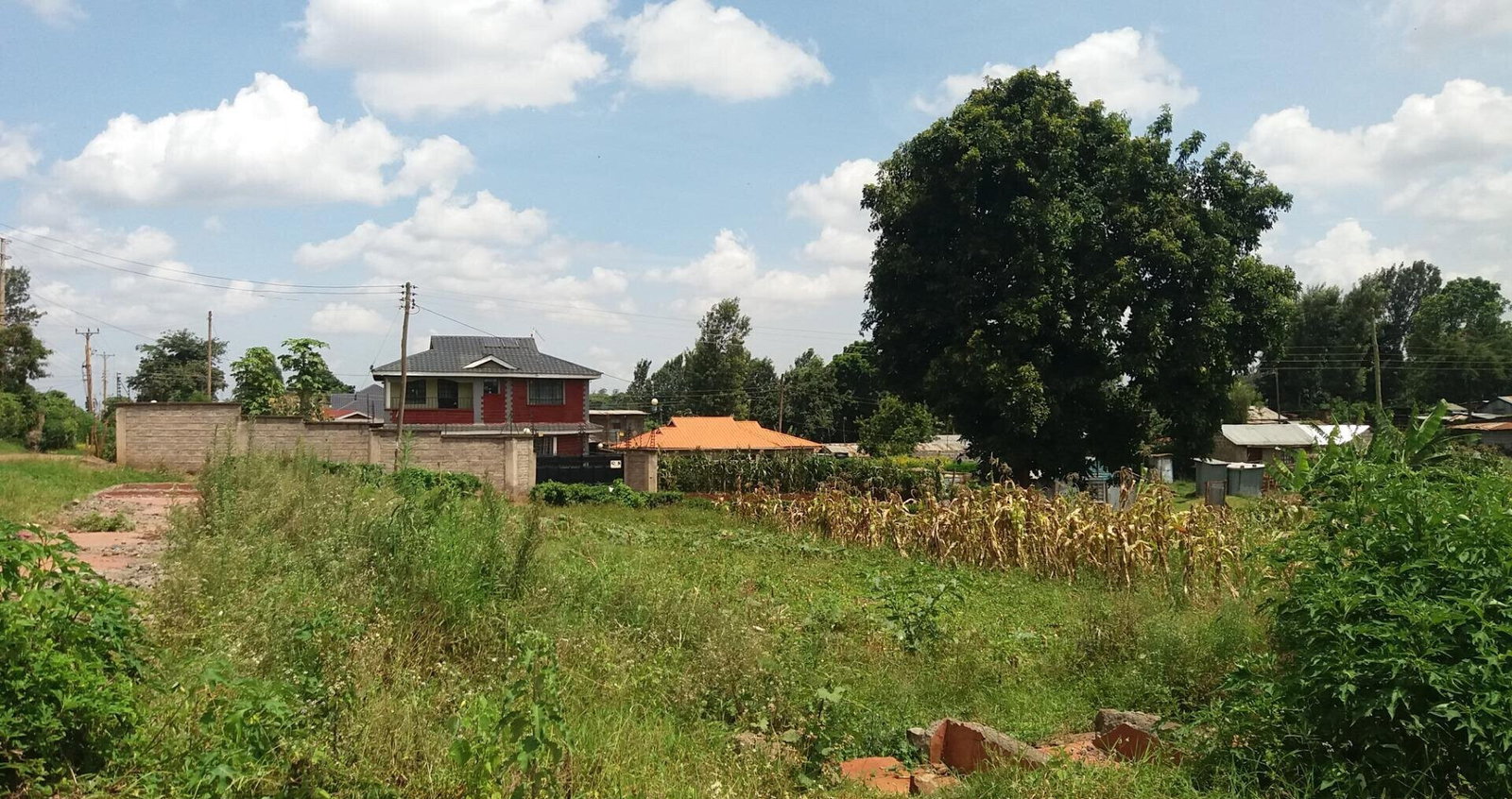 1/8 Acre Garden Plot with Parking
