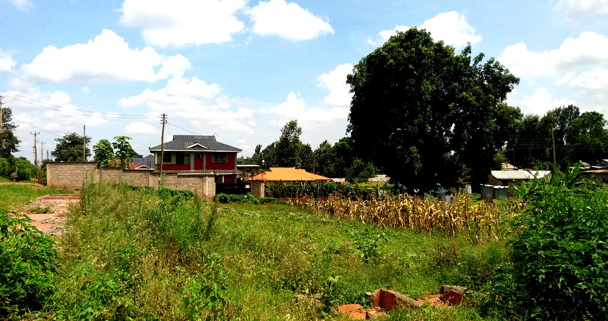 1/8 Acre Garden Plot with Parking