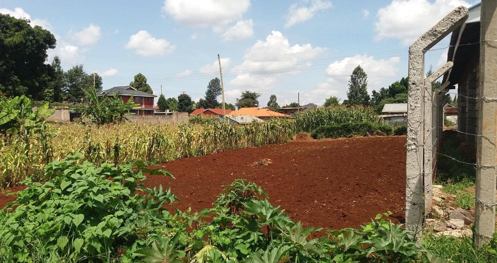 1/8 Acre Garden Plot with Parking
