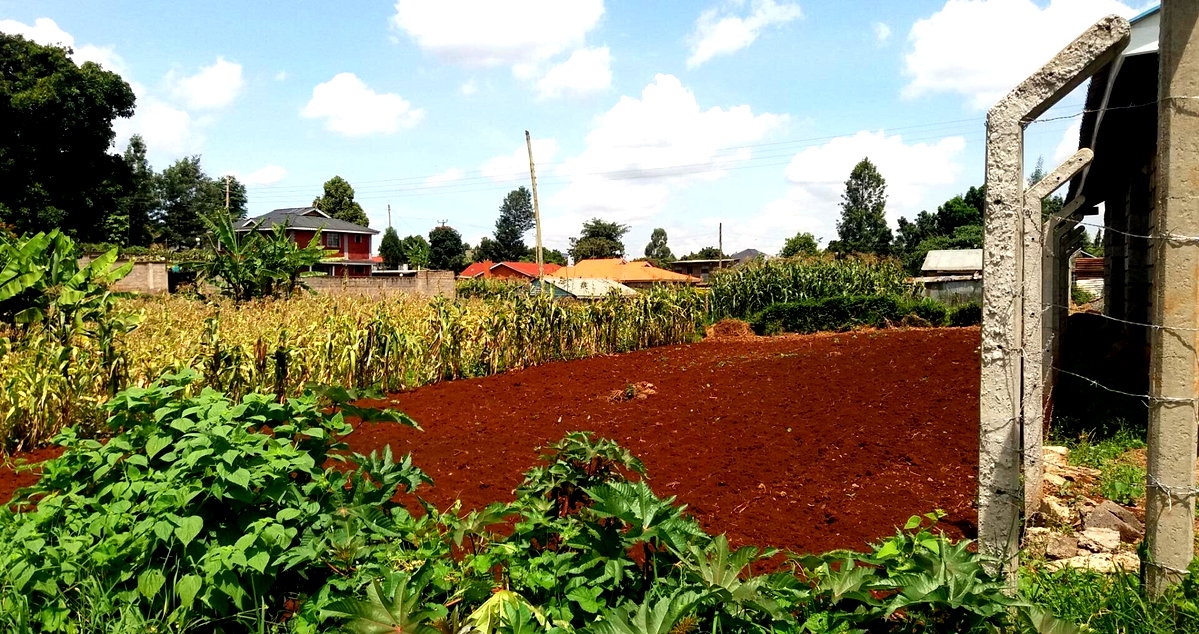 1/8 Acre Garden Plot with Parking