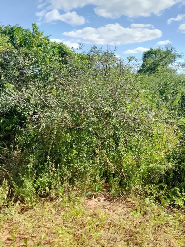 300acres for Sale