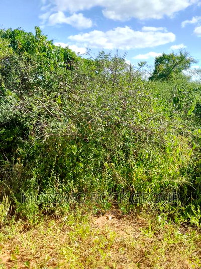 300acres for Sale - Image 3