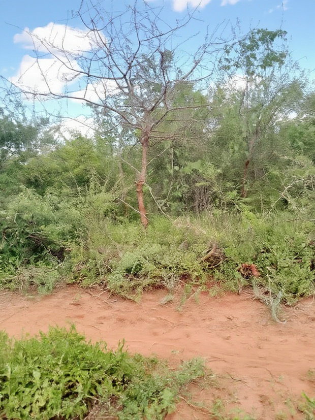300acres for Sale