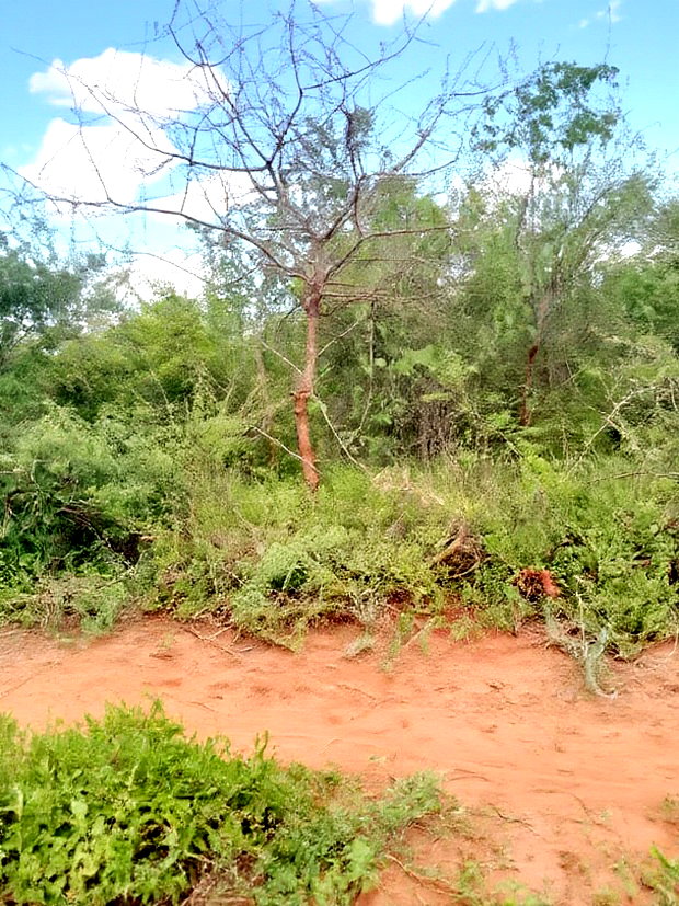 300acres for Sale