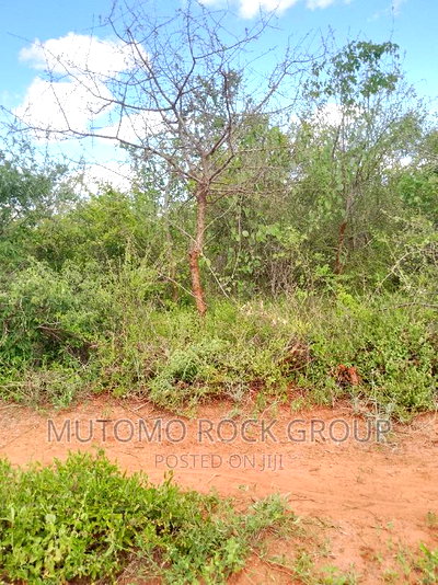 300acres for Sale - Image 1