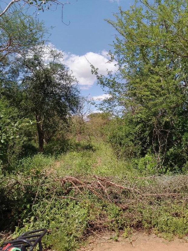 300acres for Sale