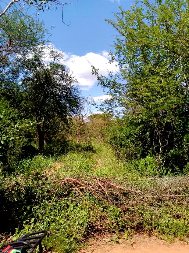 300acres for Sale