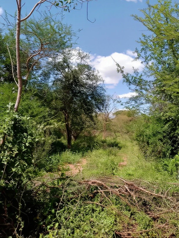 300acres for Sale