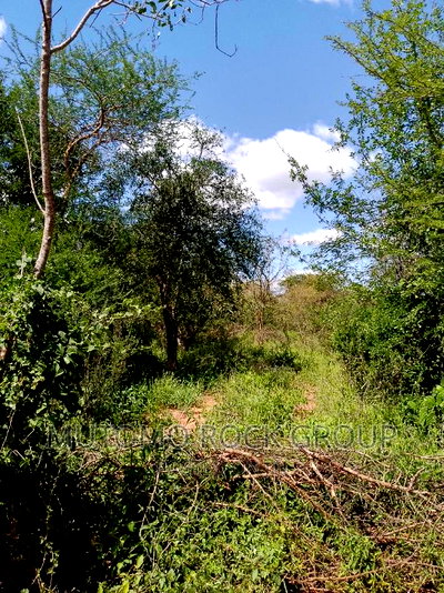 300acres for Sale - Image 5