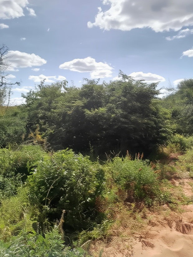 300acres for Sale