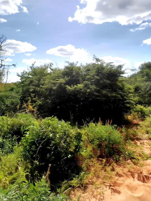 300acres for Sale