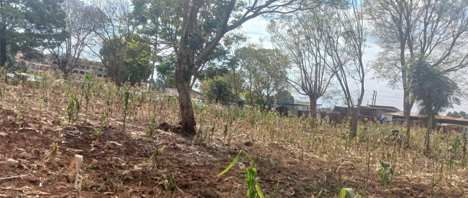 KSh 500M Commercial Plot in Mountain View