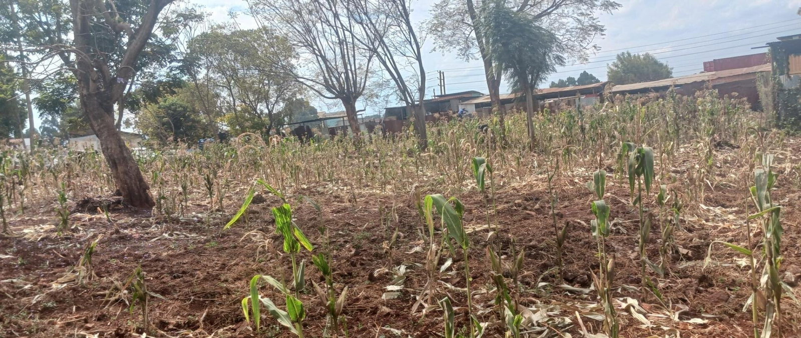 KSh 500M Commercial Plot in Mountain View