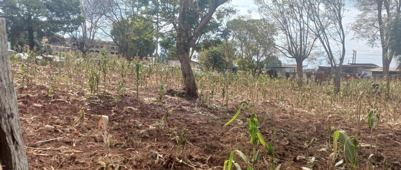 KSh 500M Commercial Plot in Mountain View