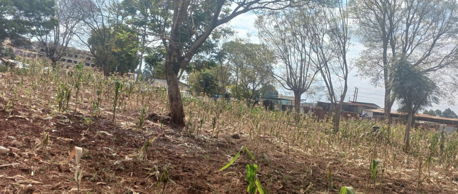 KSh 500M Commercial Plot in Mountain View