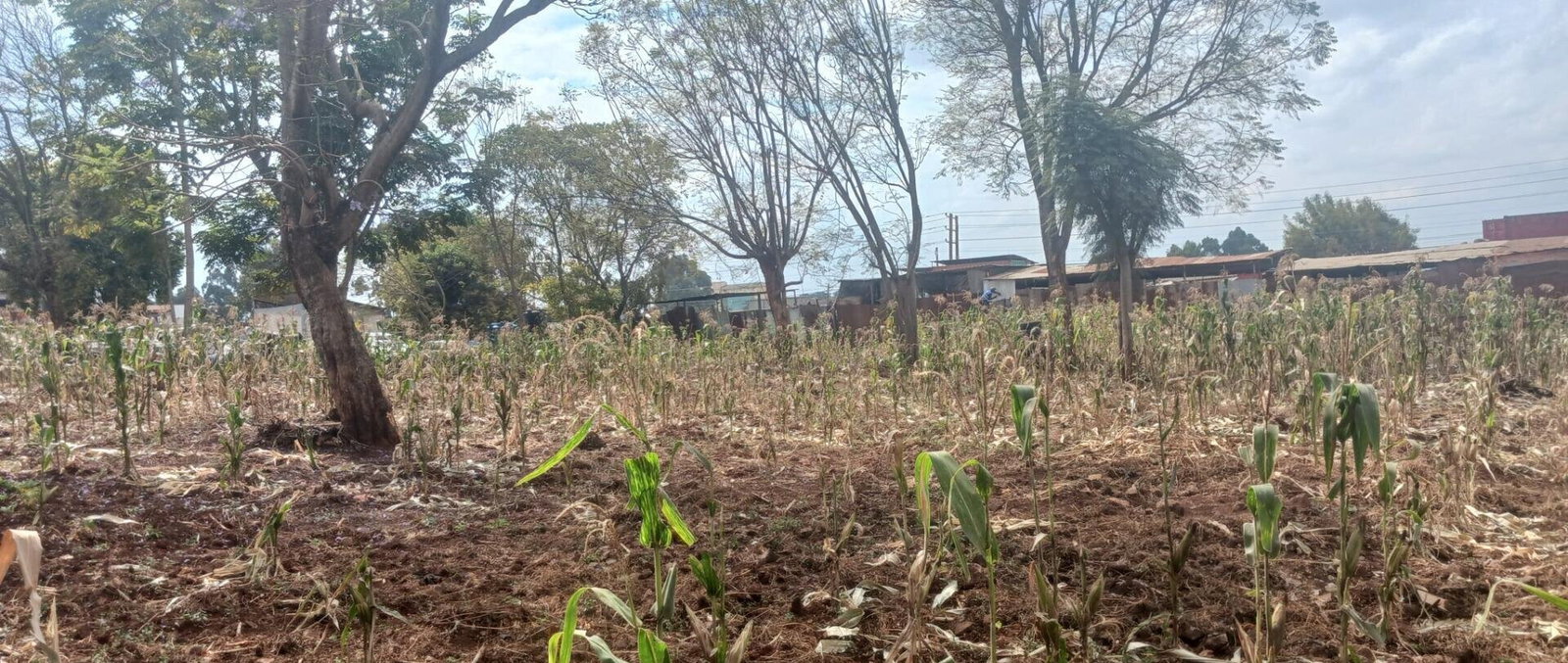 KSh 500M Commercial Plot in Mountain View