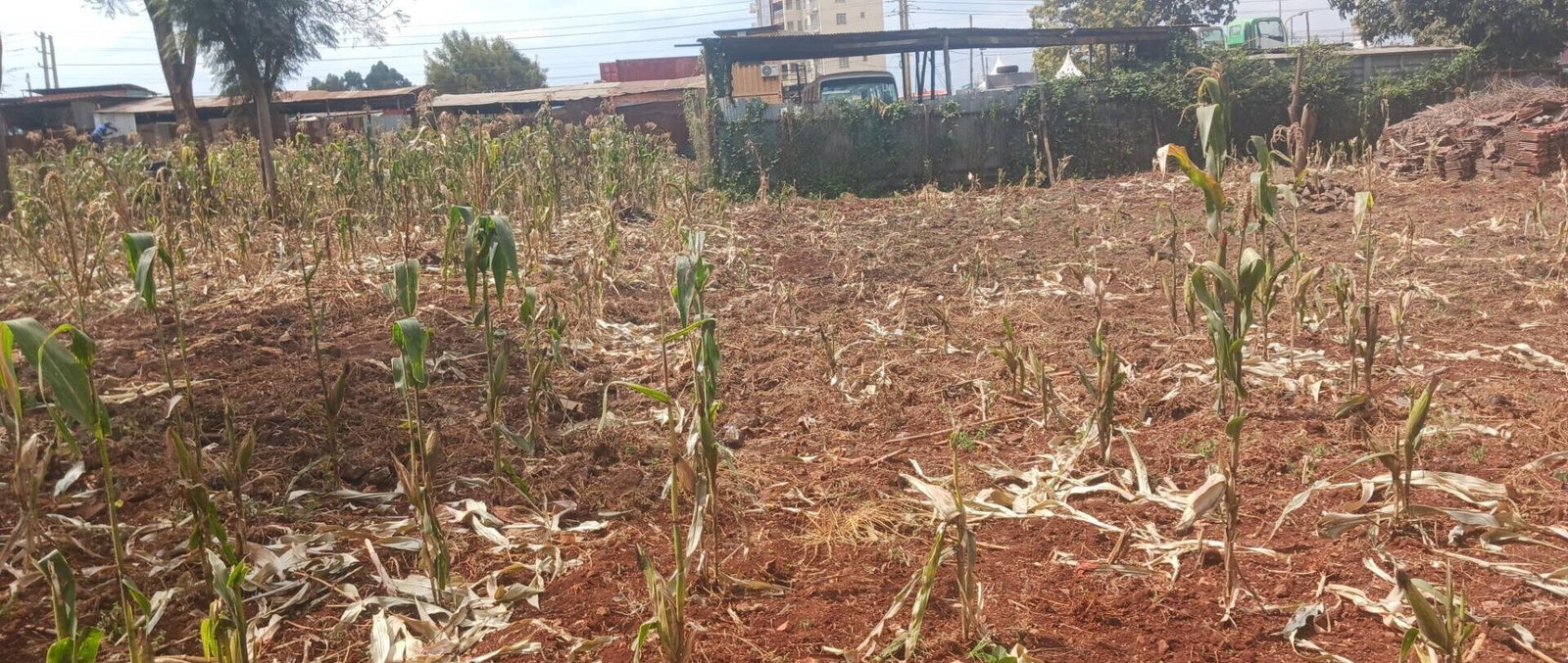 KSh 500M Commercial Plot in Mountain View