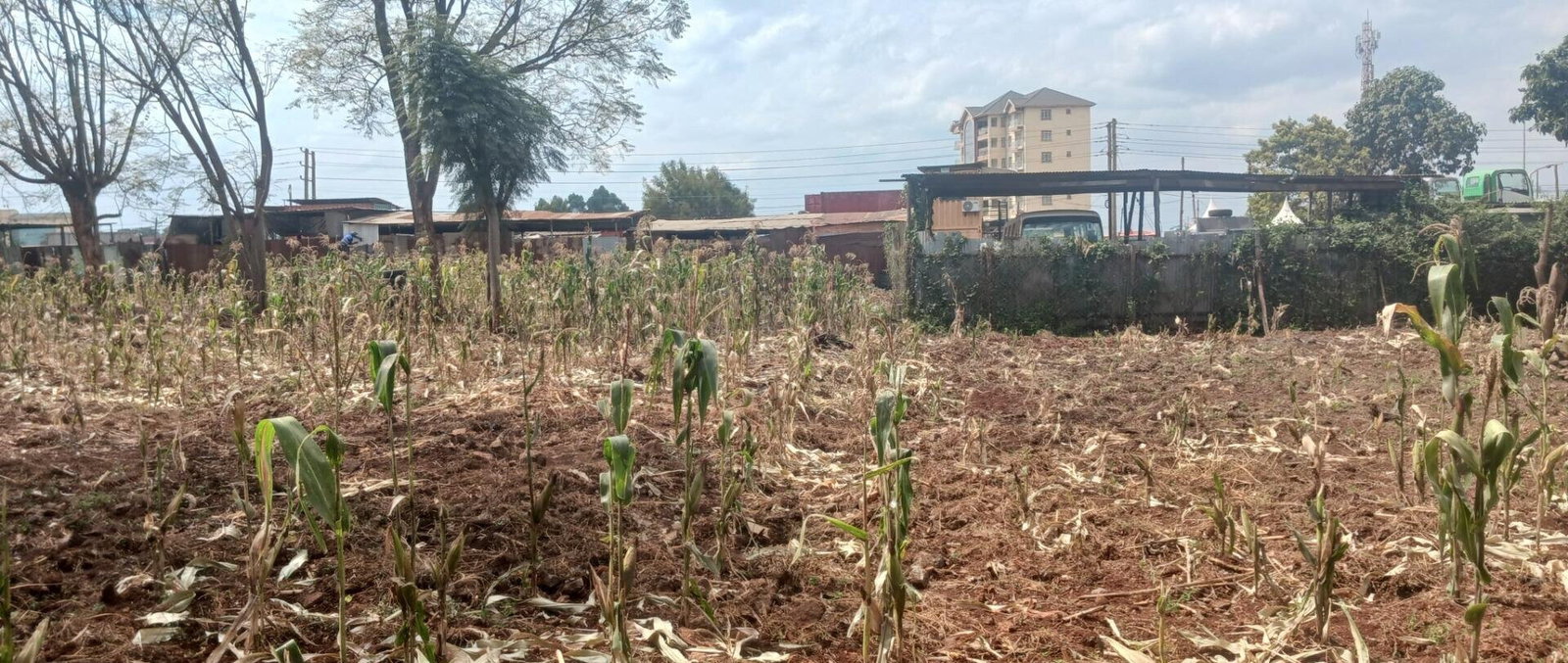 KSh 500M Commercial Plot in Mountain View