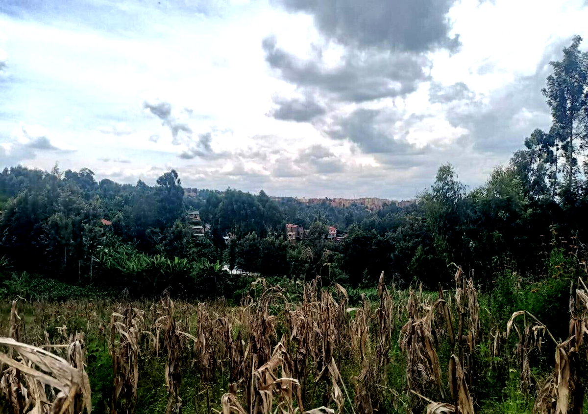 KSh 50M Plot Near Kangoya Primary
