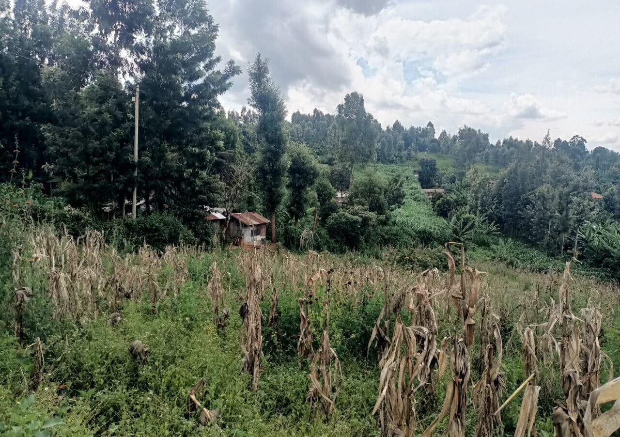 KSh 50M Plot Near Kangoya Primary