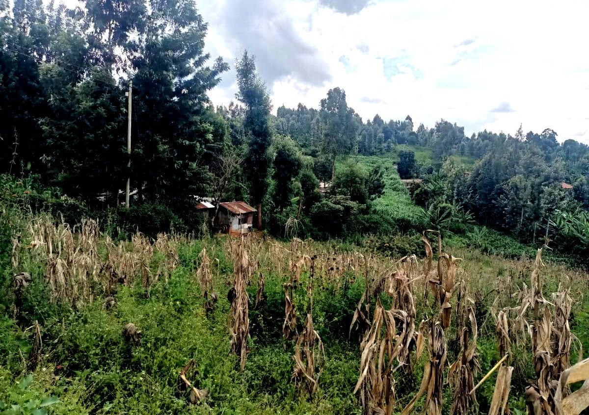KSh 50M Plot Near Kangoya Primary