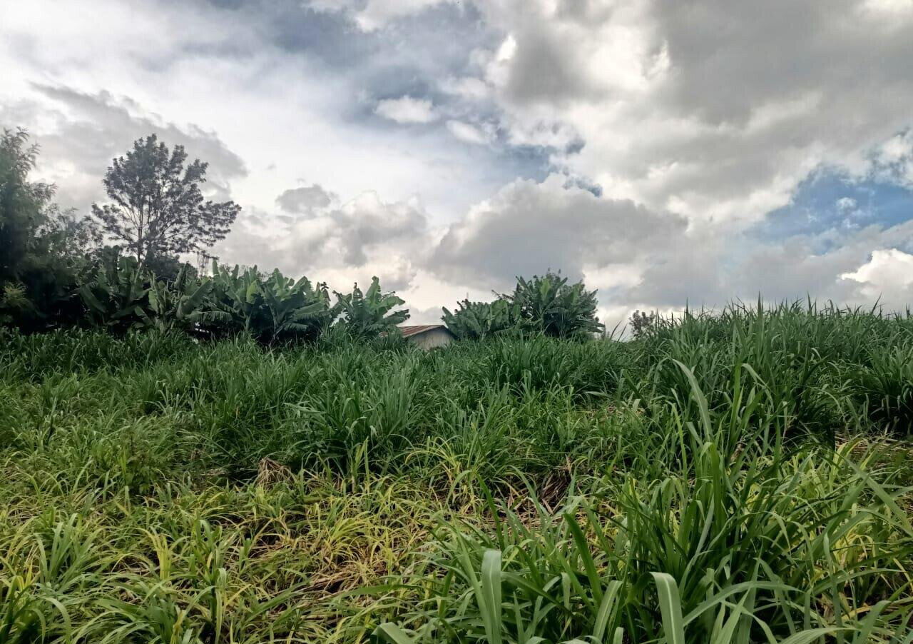 KSh 50M Plot Near Kangoya Primary