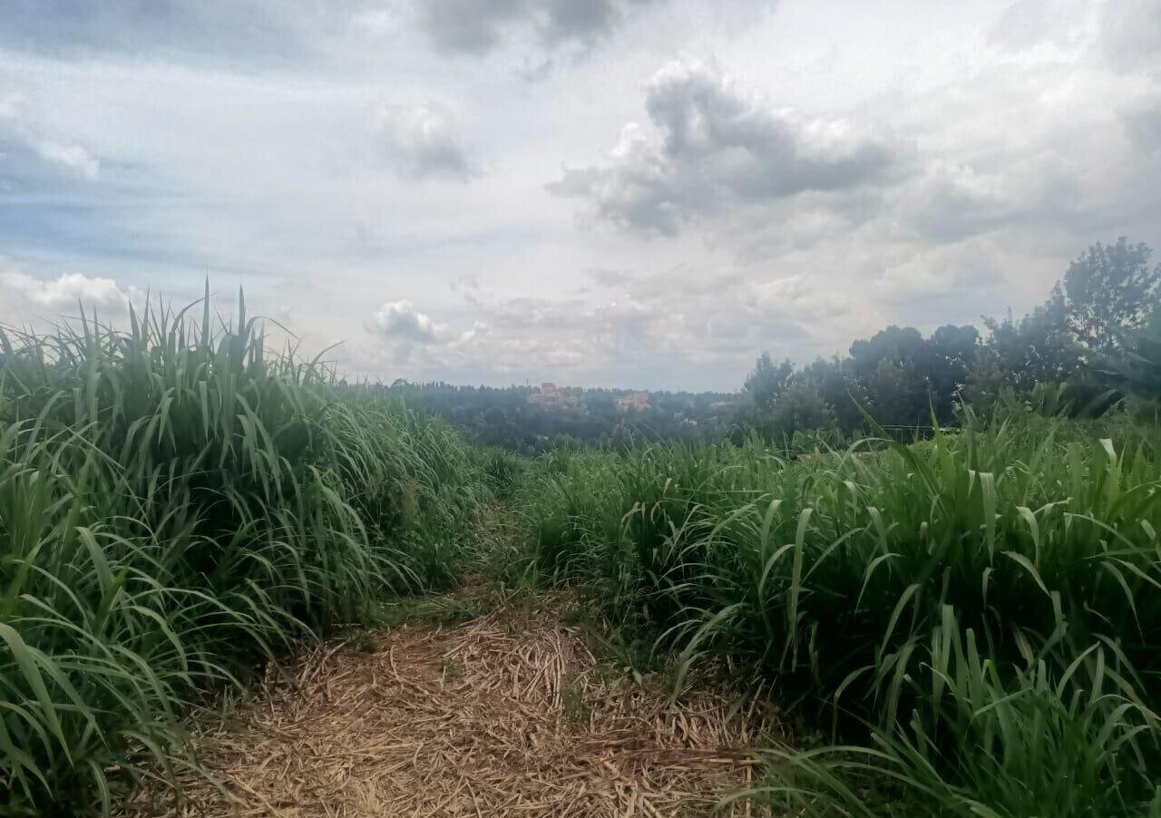 KSh 50M Plot Near Kangoya Primary