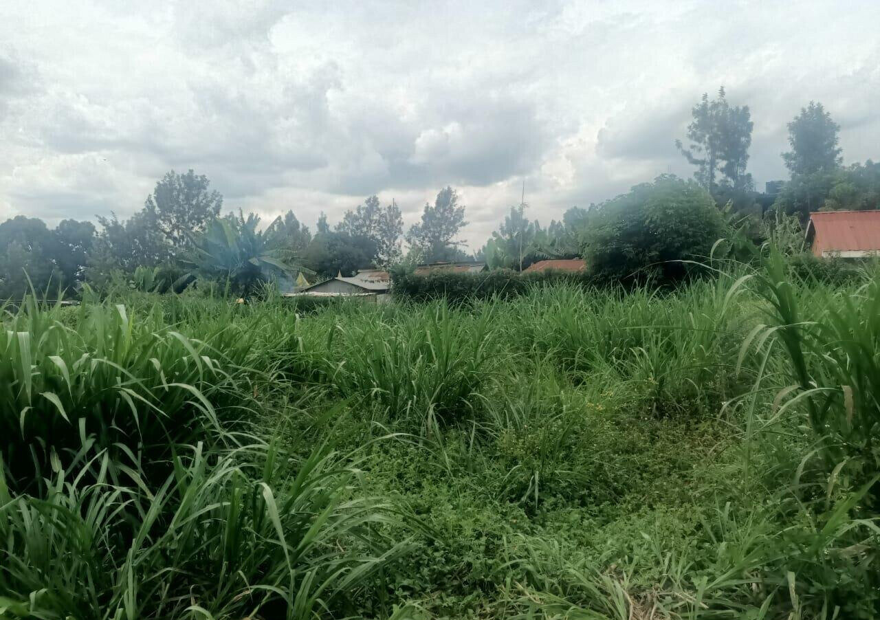 KSh 50M Plot Near Kangoya Primary