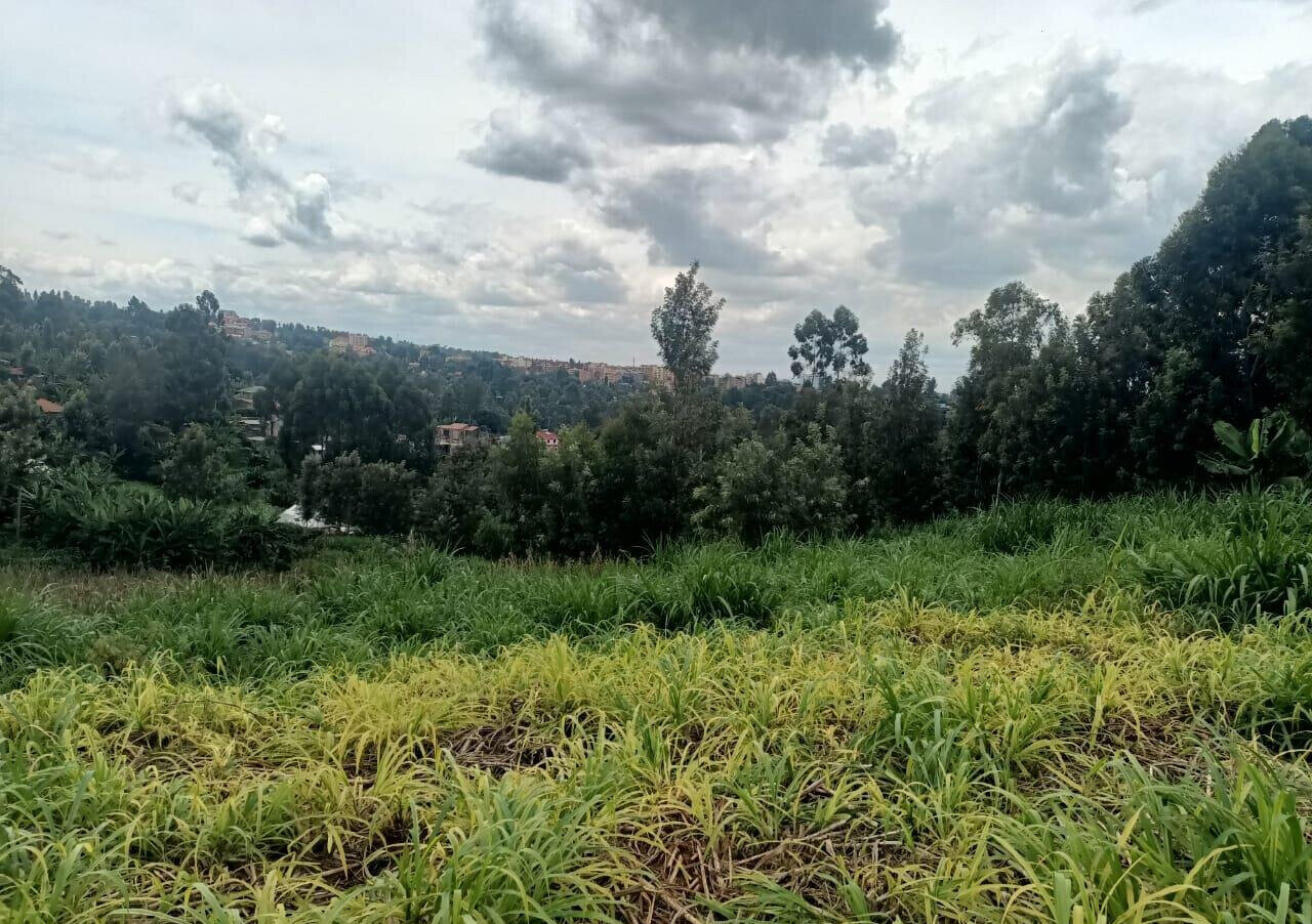 KSh 50M Plot Near Kangoya Primary