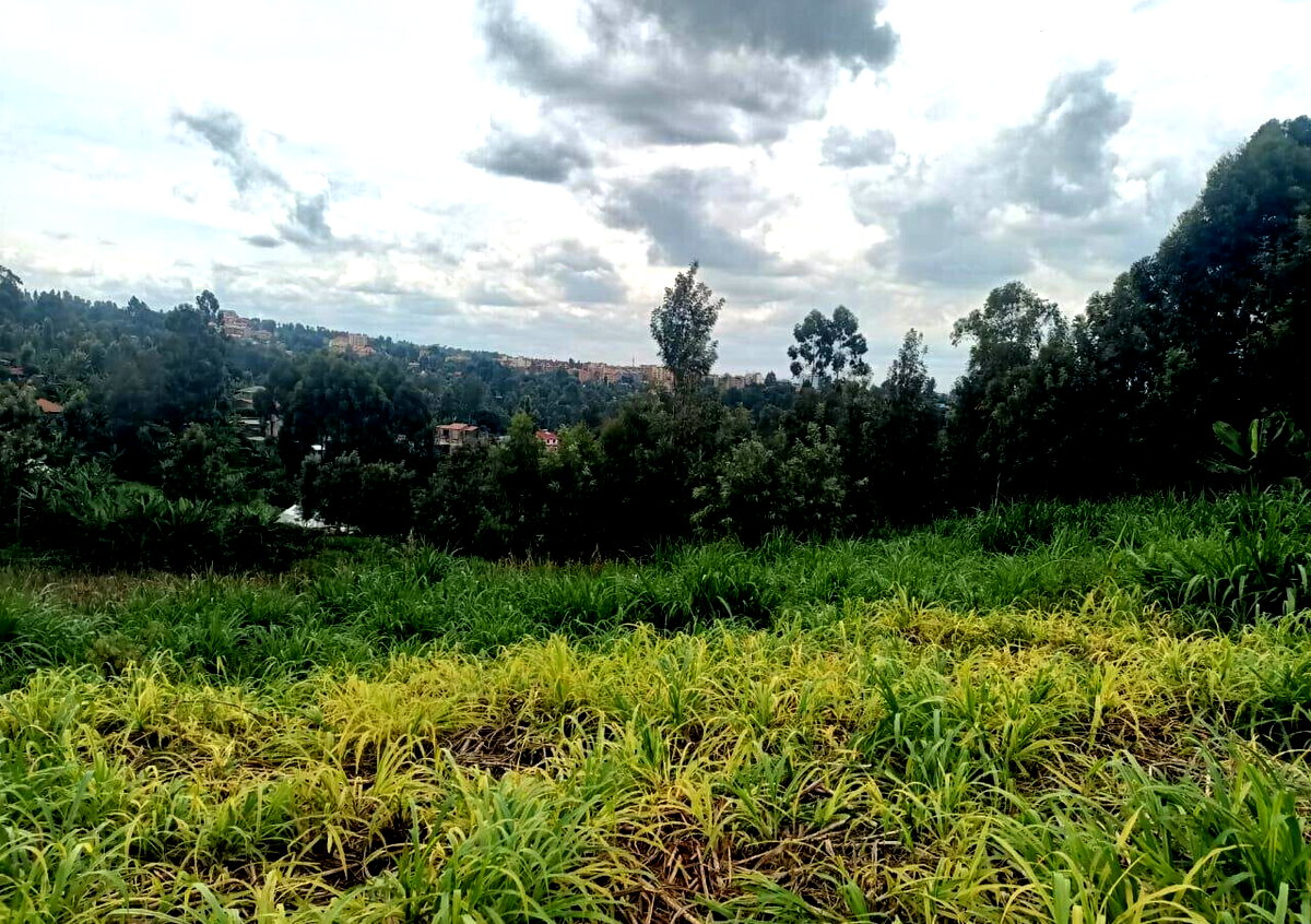 KSh 50M Plot Near Kangoya Primary